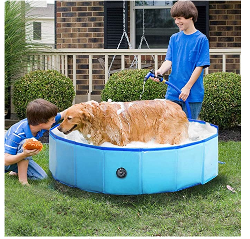 Portable Dog Pool