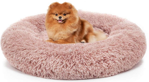 Calming Dog Bed