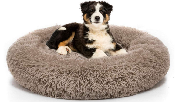 Calming Dog Bed