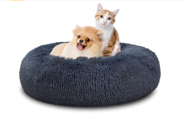 Calming Dog Bed