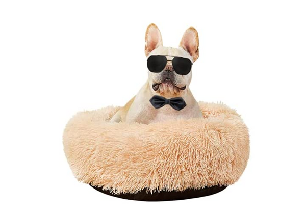 Calming Dog Bed