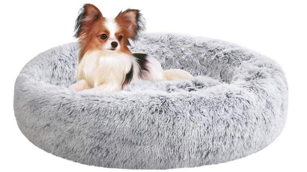 Calming Dog Bed