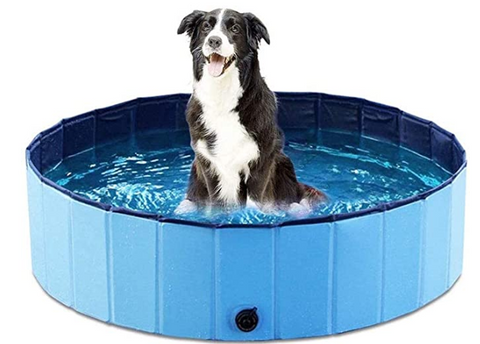 Portable Dog Pool