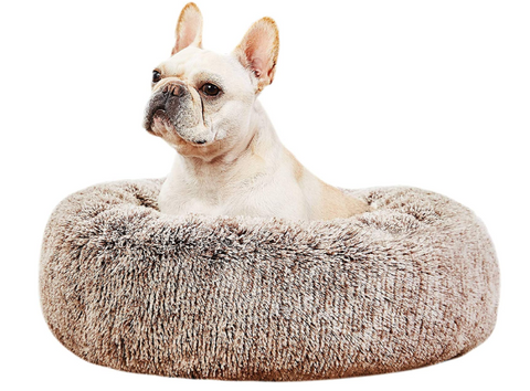 Calming Dog Bed